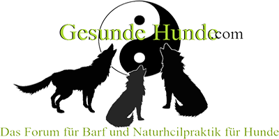 Gesunde Hunde